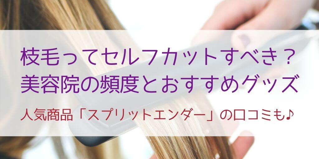 枝毛カッター スプリットエンダー がおすすめ 美容院の頻度や枝毛の自己処理を紹介 30歳からの美容研究